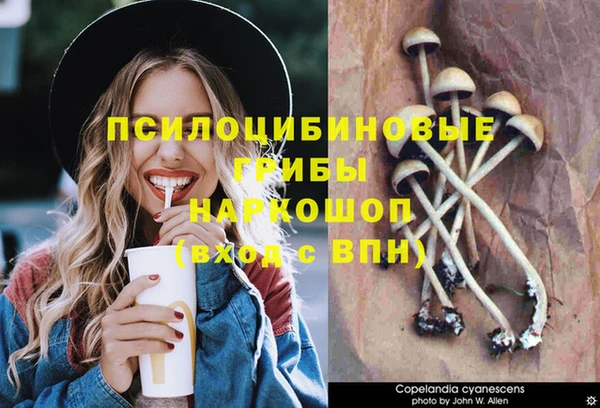 Альфа ПВП Алексин