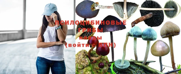гашишное масло Алексеевка