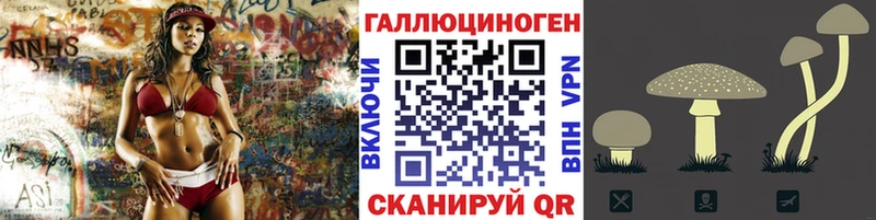 наркошоп  Самара  Галлюциногенные грибы Cubensis 