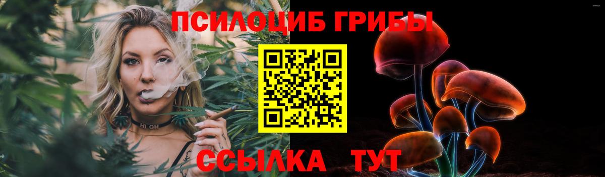 Самара  Псилоцибиновые грибы мухоморы  Вход с VPN 